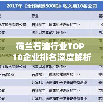 荷兰石油行业TOP 10企业排名深度解析