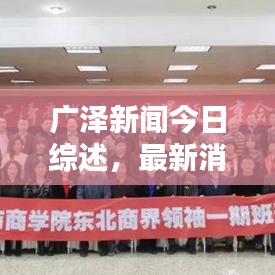 广泽新闻今日综述，最新消息全面解析