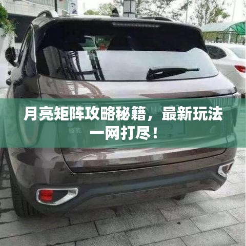 月亮矩阵攻略秘籍，最新玩法一网打尽！