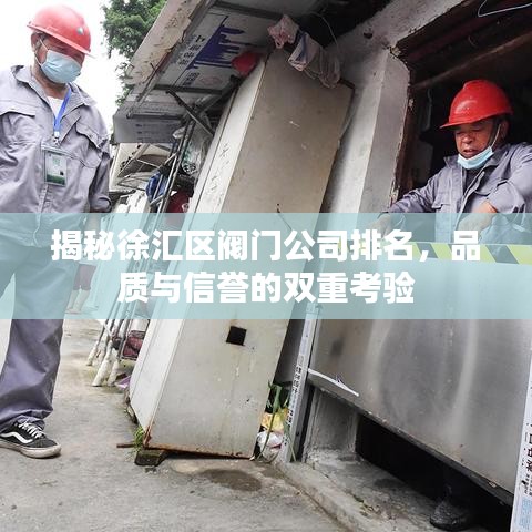 揭秘徐汇区阀门公司排名，品质与信誉的双重考验