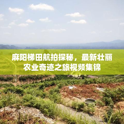 麻阳梯田航拍探秘，最新壮丽农业奇迹之旅视频集锦