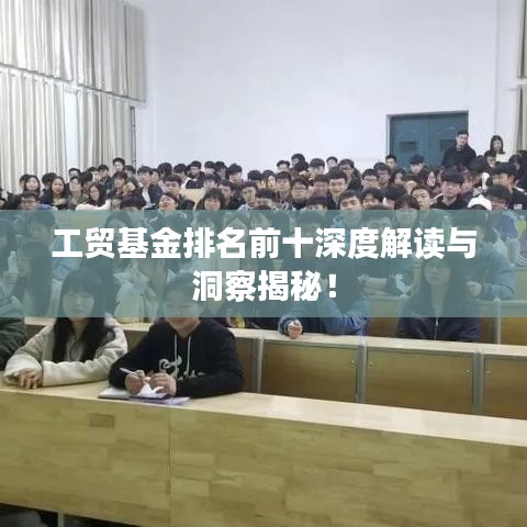 工贸基金排名前十深度解读与洞察揭秘！