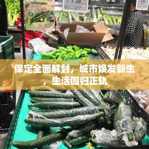 保定全面解封，城市焕发新生，生活回归正轨