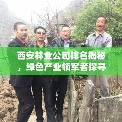 西安林业公司排名揭秘，绿色产业领军者探寻