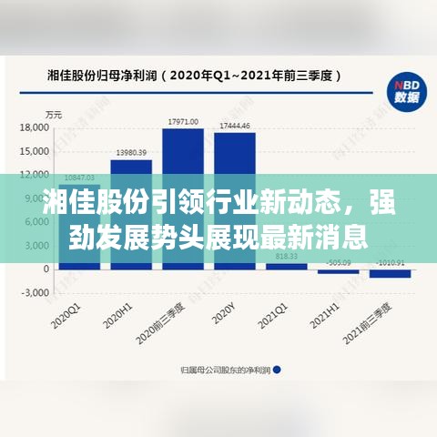 湘佳股份引领行业新动态，强劲发展势头展现最新消息
