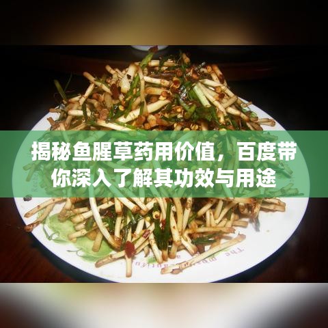 揭秘鱼腥草药用价值，百度带你深入了解其功效与用途