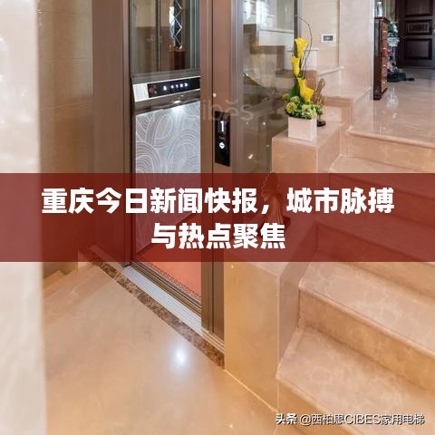 重庆今日新闻快报，城市脉搏与热点聚焦