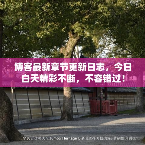 博客最新章节更新日志，今日白天精彩不断，不容错过！