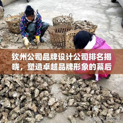 钦州公司品牌设计公司排名揭晓，塑造卓越品牌形象的幕后功臣
