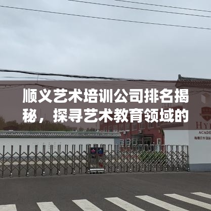 顺义艺术培训公司排名揭秘，探寻艺术教育领域的璀璨明珠！