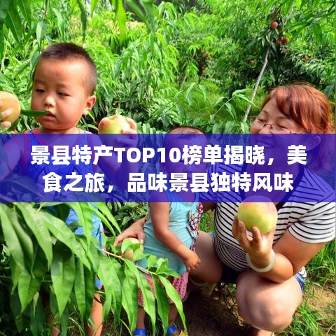 景县特产TOP10榜单揭晓，美食之旅，品味景县独特风味