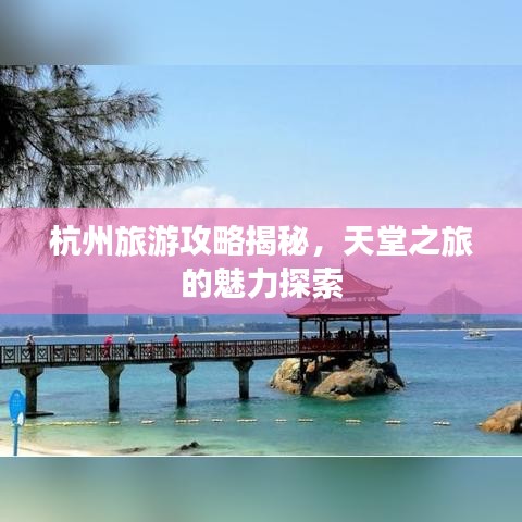 新闻中心 第295页