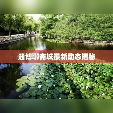 淄博聊斋城最新动态揭秘