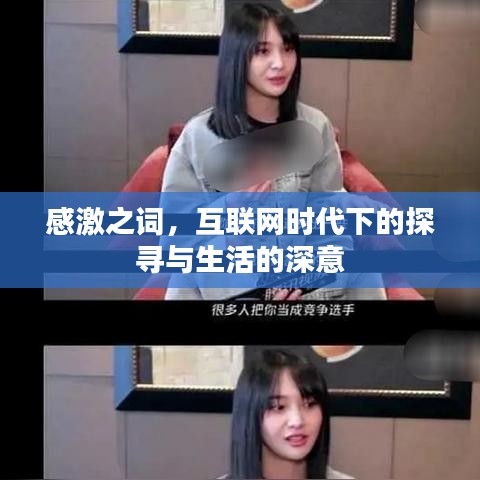 新闻中心 第216页