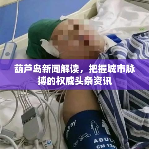 葫芦岛新闻解读，把握城市脉搏的权威头条资讯