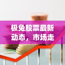 极兔股票最新动态，市场走势深度解析与前景展望