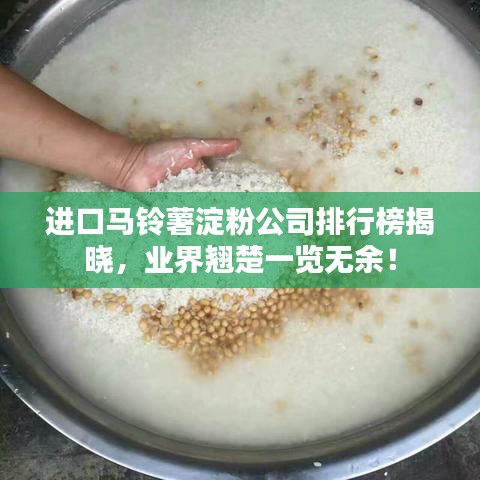 进口马铃薯淀粉公司排行榜揭晓，业界翘楚一览无余！