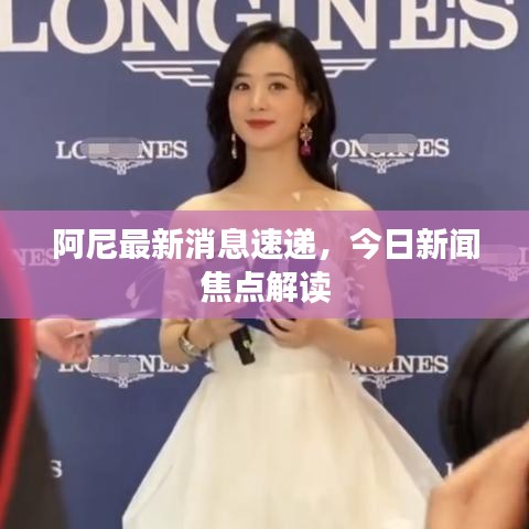 阿尼最新消息速递，今日新闻焦点解读