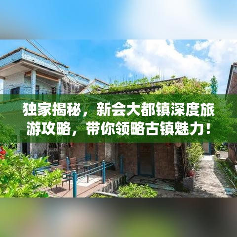 独家揭秘，新会大都镇深度旅游攻略，带你领略古镇魅力！