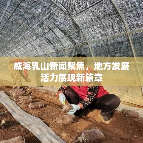 威海乳山新闻聚焦，地方发展活力展现新篇章