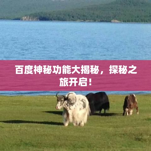 百度神秘功能大揭秘，探秘之旅开启！