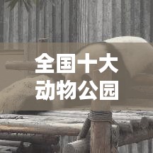 全国十大动物公园盘点，最受欢迎动物园榜单揭秘！