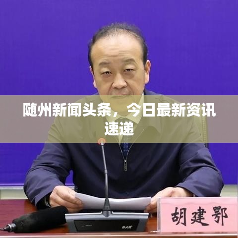 随州新闻头条，今日最新资讯速递