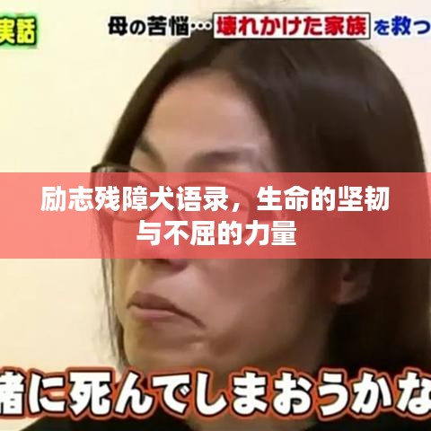 励志残障犬语录，生命的坚韧与不屈的力量