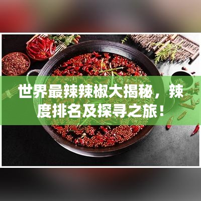 世界最辣辣椒大揭秘，辣度排名及探寻之旅！