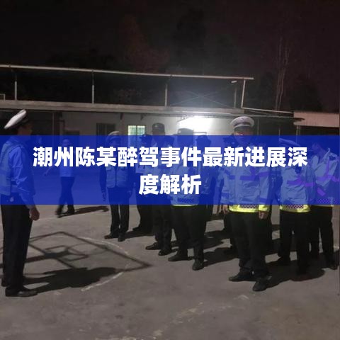 潮州陈某醉驾事件最新进展深度解析