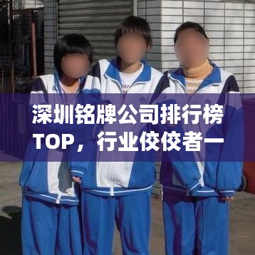 深圳铭牌公司排行榜TOP，行业佼佼者一网打尽！