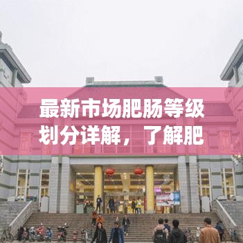 最新市场肥肠等级划分详解，了解肥肠品质，选购无忧