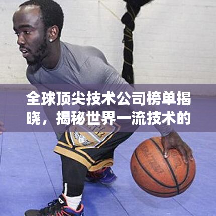 全球顶尖技术公司榜单揭晓，揭秘世界一流技术的领航者
