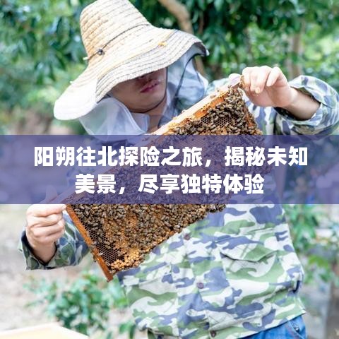 阳朔往北探险之旅，揭秘未知美景，尽享独特体验