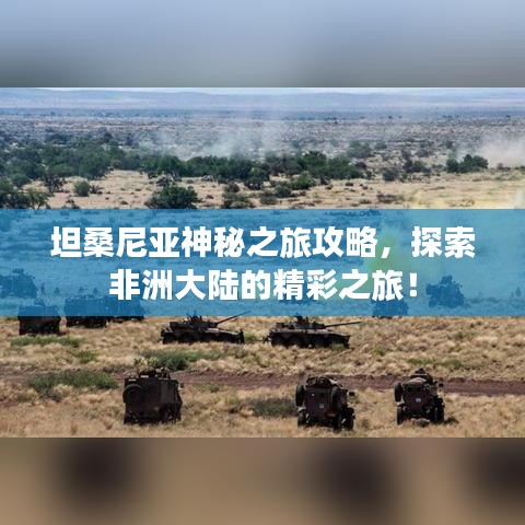 坦桑尼亚神秘之旅攻略，探索非洲大陆的精彩之旅！