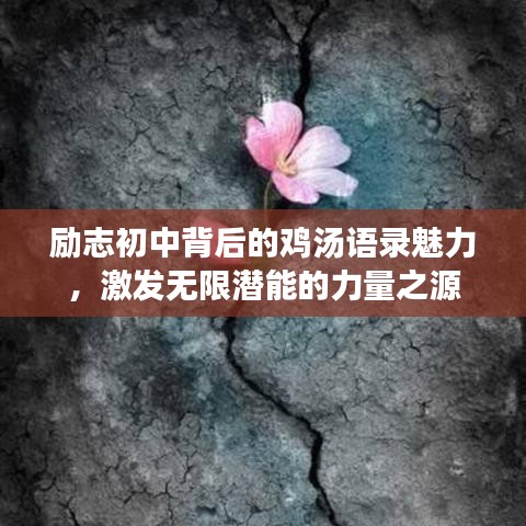 2025年5月17日 第48页