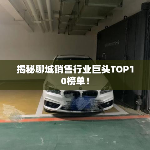 揭秘聊城销售行业巨头TOP10榜单！