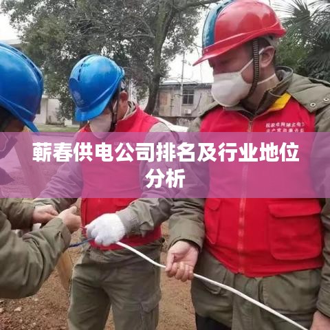 蕲春供电公司排名及行业地位分析