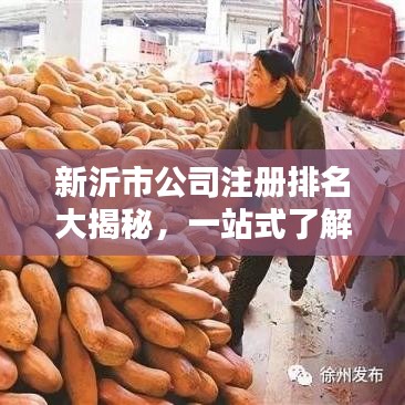 新沂市公司注册排名大揭秘，一站式了解企业注册盛况，火热查询！
