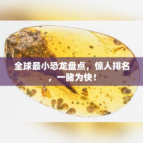 全球最小恐龙盘点，惊人排名，一睹为快！