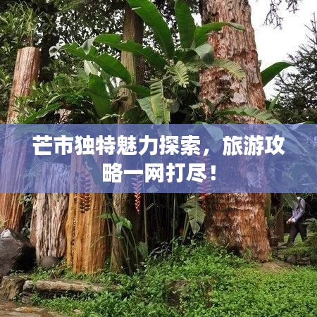 芒市独特魅力探索，旅游攻略一网打尽！