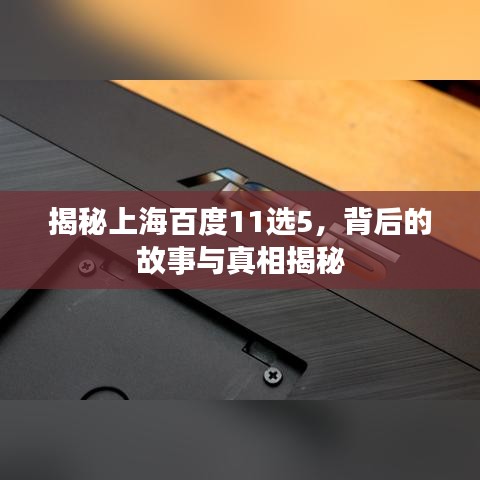 2025年5月17日 第5页