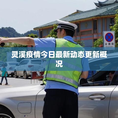 灵溪疫情今日最新动态更新概况