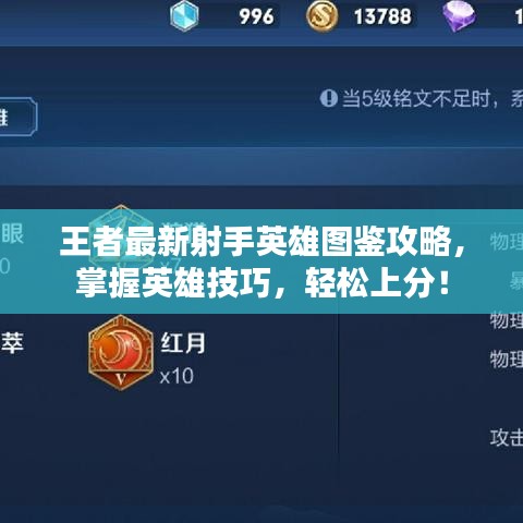 王者最新射手英雄图鉴攻略，掌握英雄技巧，轻松上分！