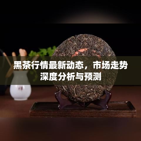 黑茶行情最新动态，市场走势深度分析与预测