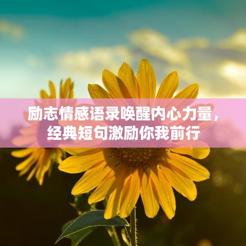 2025年5月18日 第7页