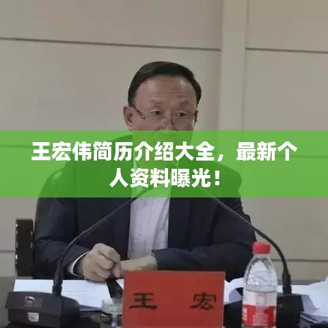 王宏伟简历介绍大全，最新个人资料曝光！