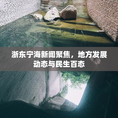浙东宁海新闻聚焦，地方发展动态与民生百态