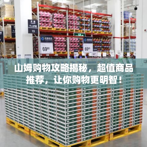 山姆购物攻略揭秘，超值商品推荐，让你购物更明智！