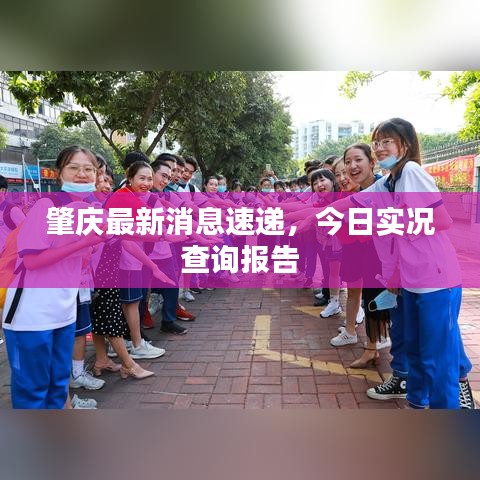 肇庆最新消息速递，今日实况查询报告